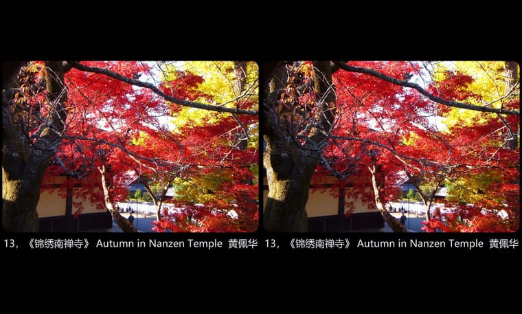 13，《锦绣南禅寺》 Autumn in Nanzen Temple  黄佩华.jpg