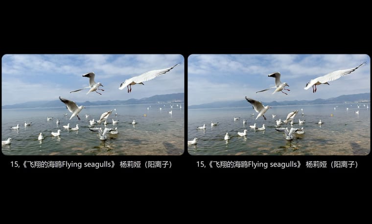 15,《飞翔的海鸥Flying seagulls》 杨莉娅（阳离子）.jpg