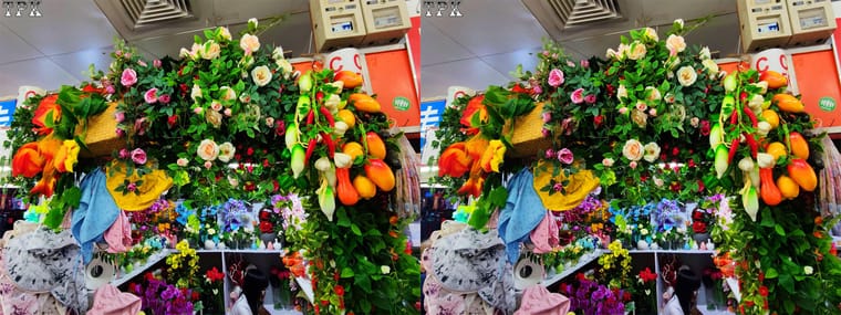 250417 X  009(33)+LRsY.jpg