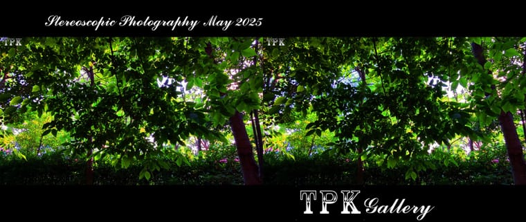 250503 X14(29) A+LRsY K.jpg