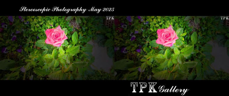 250503 X20(11) A+LRsY K.jpg