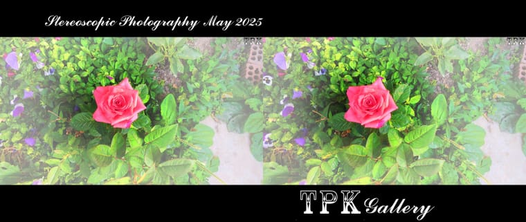 250503 X21(11) A+LRsY K.jpg