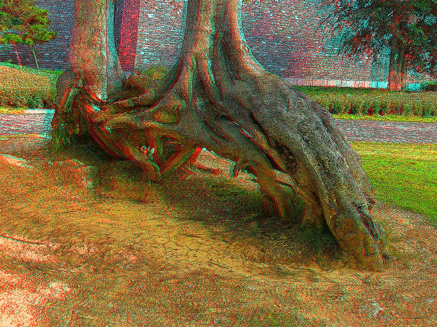 101029x216(23)+LRsY W XRC.jpg