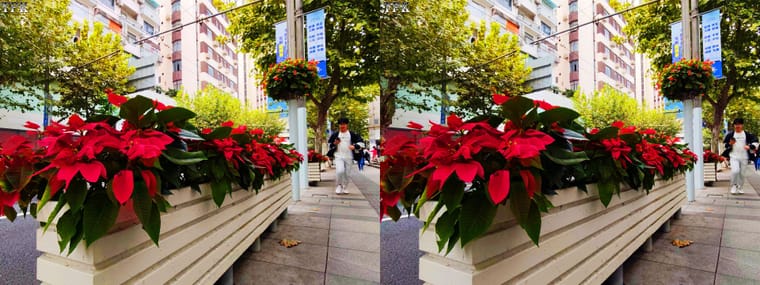 251023 X 32(16)+LRsY.jpg