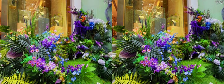 251023 X 35(17)+LRsY.jpg