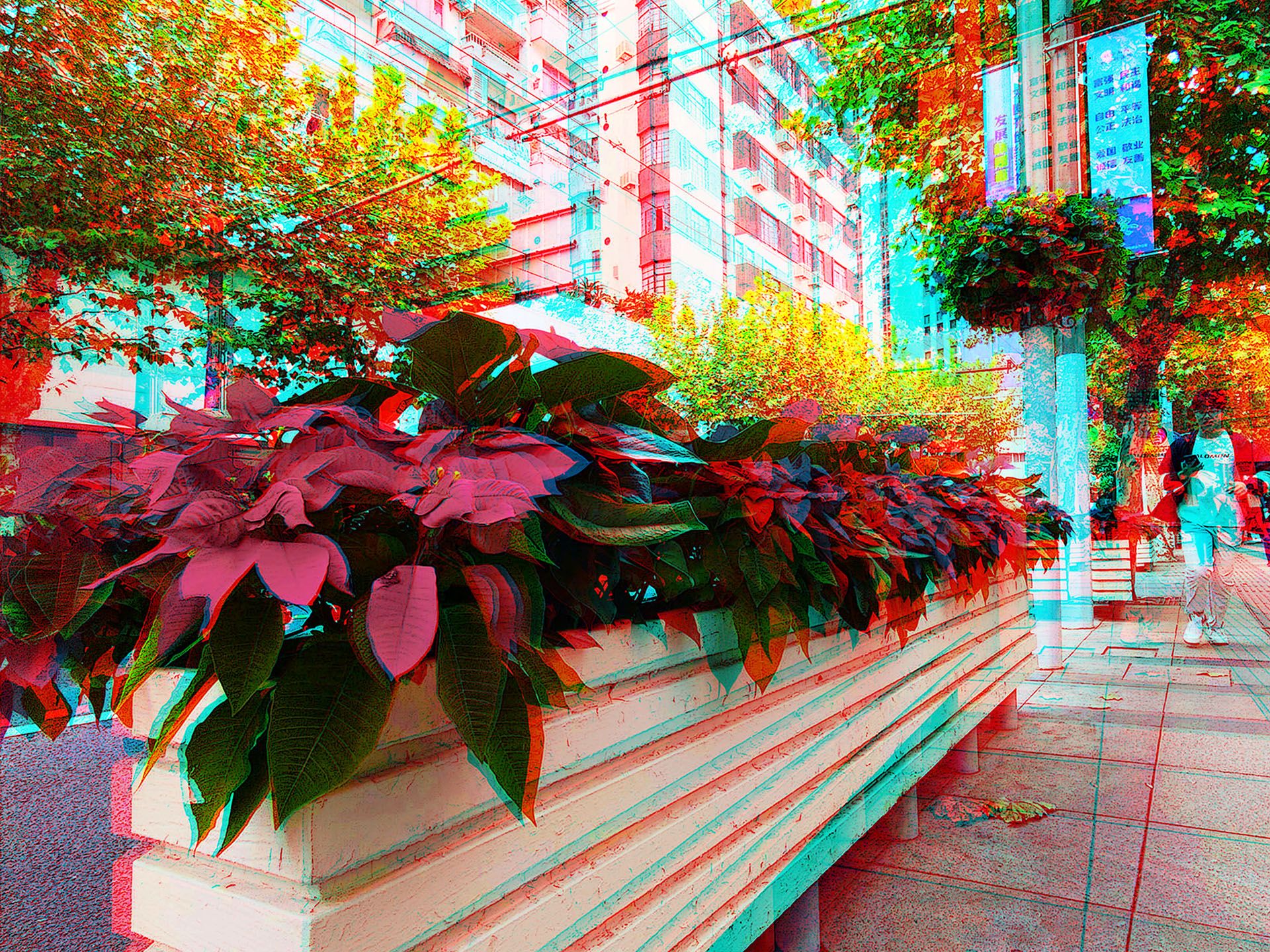 X 251023 X 32(16) XRC.jpg