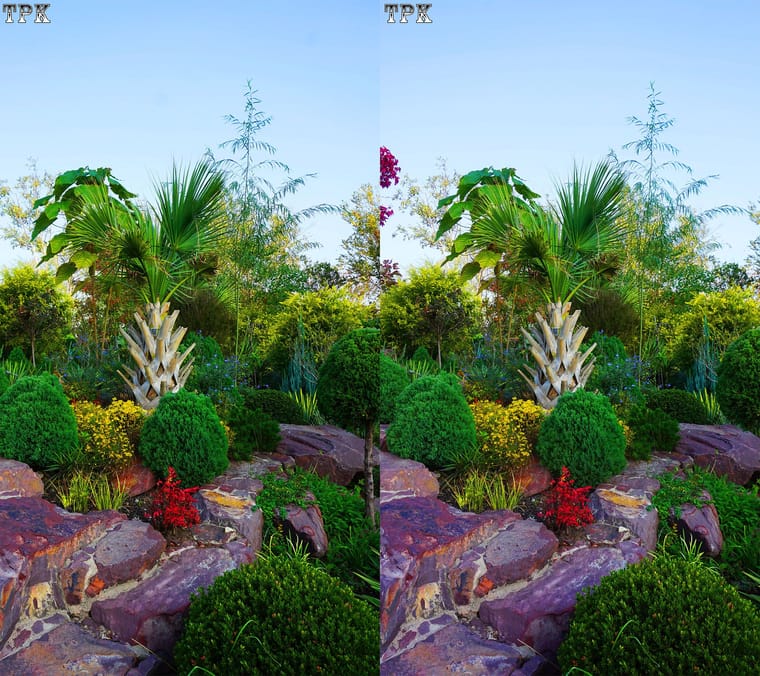 251114NN 014(15) 916+LRsY s.jpg