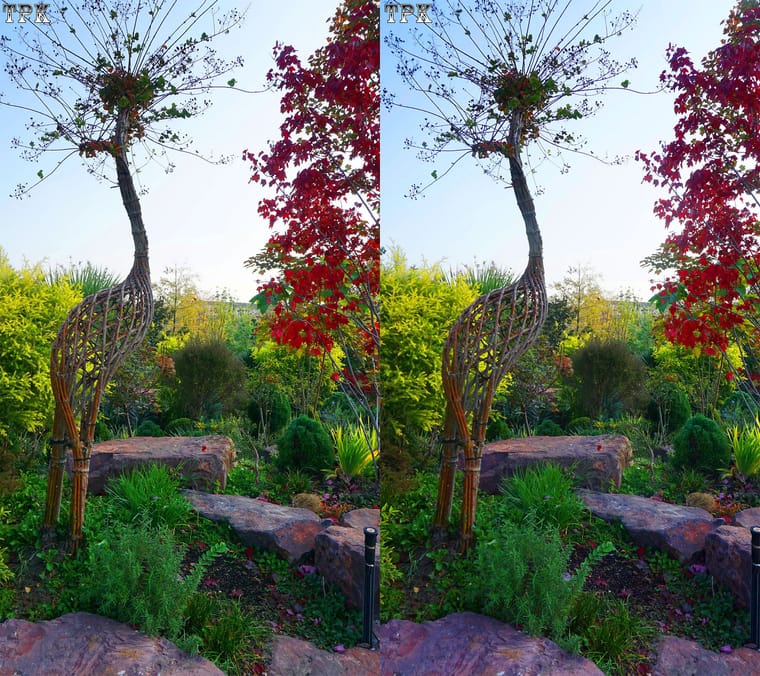 251114NN 016(19) 916+LRsY s.jpg