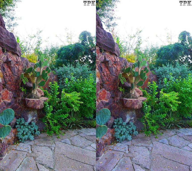 251114NN 021(23) 916+LRsY s.jpg