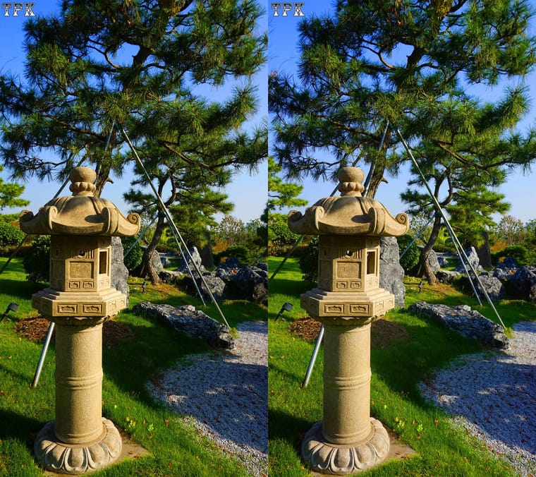 251114NN 033(19) 916+LRsY s.jpg