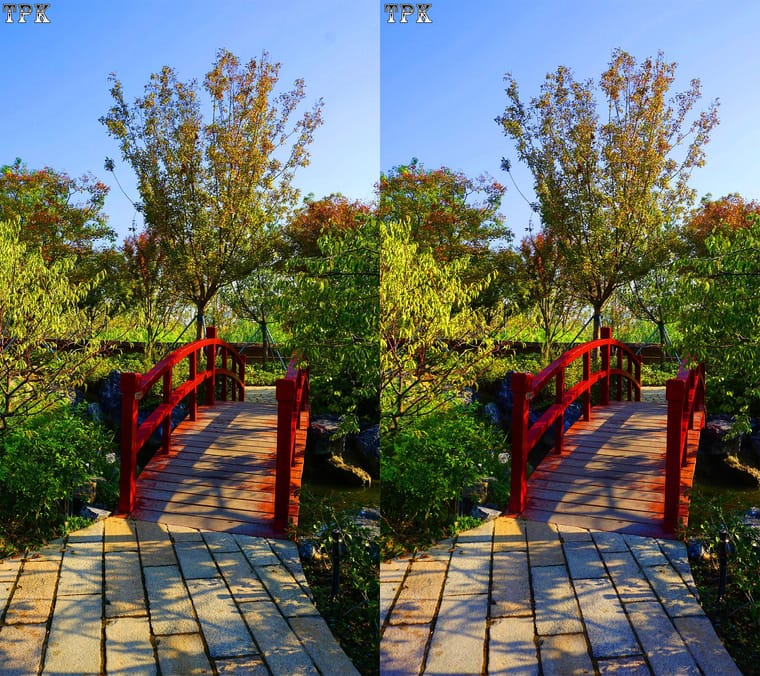 251114NN 041(24) 916+LRsY s.jpg