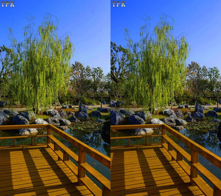 251114NN 042(21) 916+LRsY s.jpg