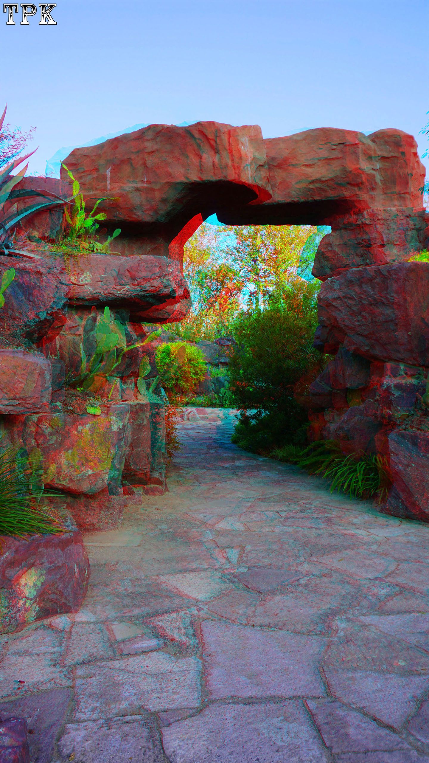 X 251114NN 009(21) 916 XRC s.jpg