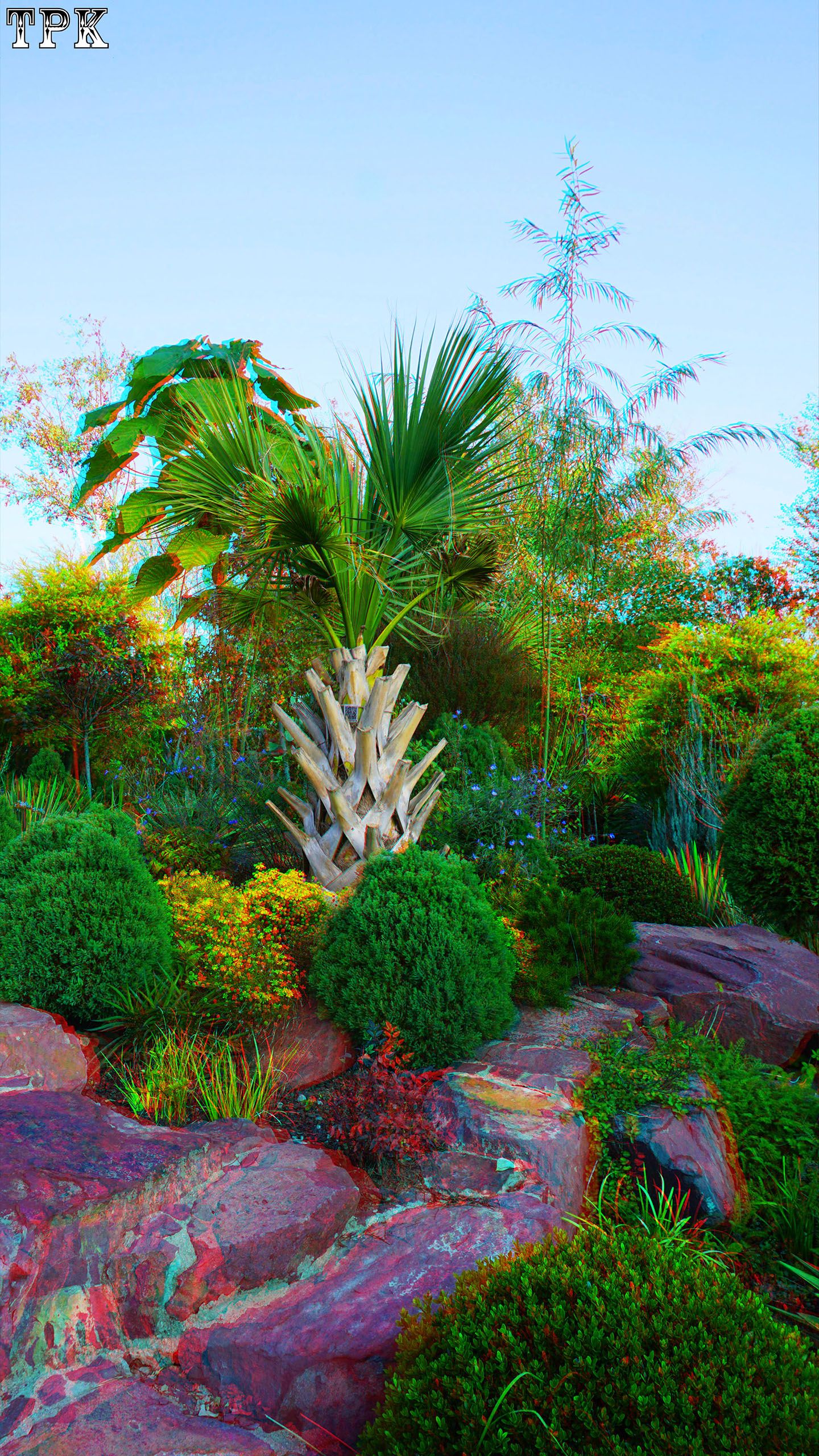 X 251114NN 014(15) 916 XRC s.jpg