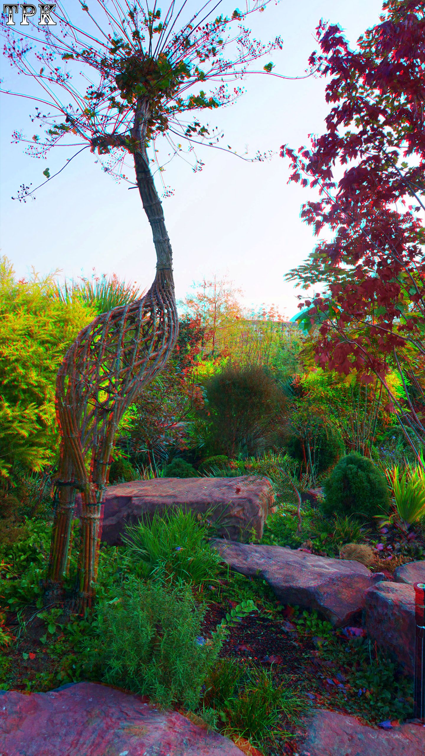 X 251114NN 016(19) 916 XRC s.jpg