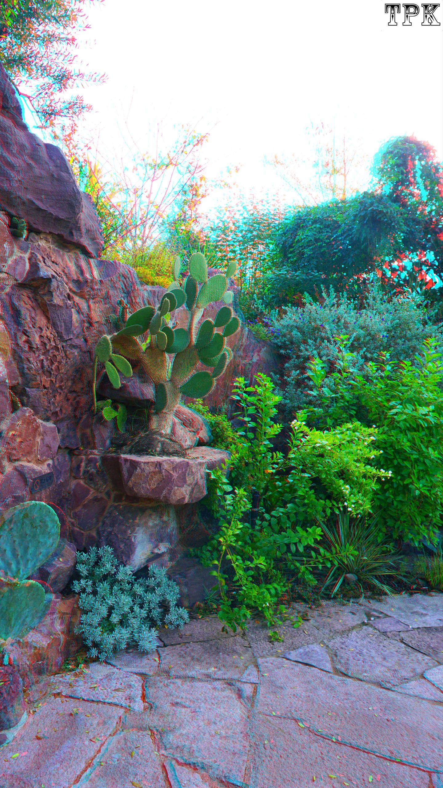 X 251114NN 021(23) 916 XRC s.jpg