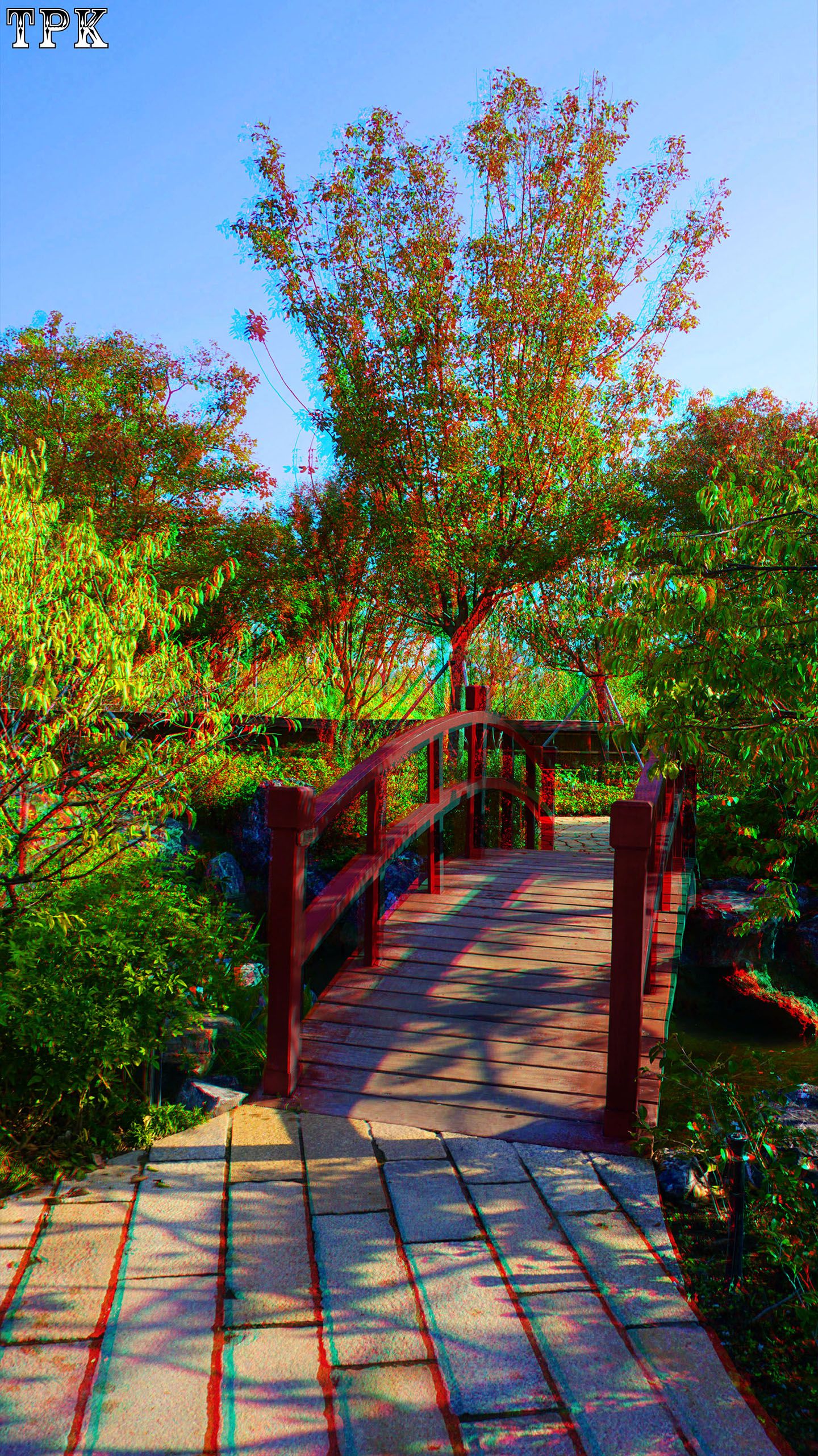 X 251114NN 041(24) 916 XRC s.jpg