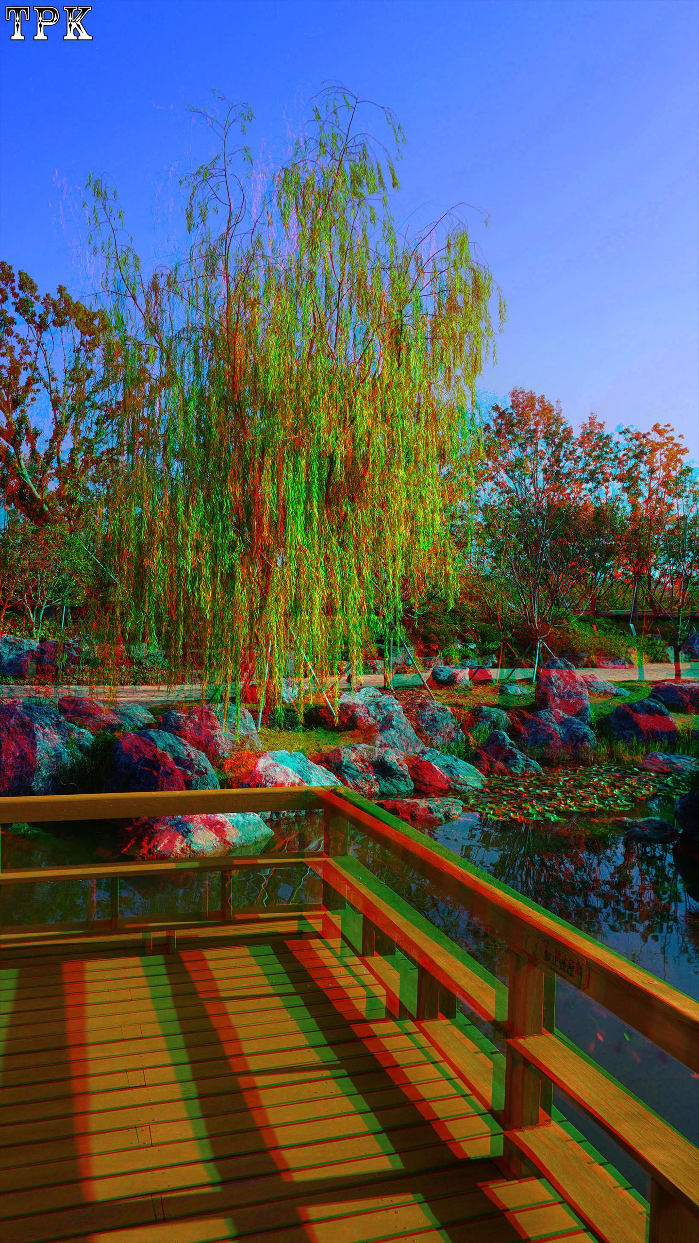 X 251114NN 042(21) 916 XRC s.jpg