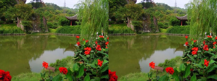 040918 DMG 027 xc SBS.jpg