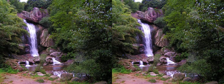 040918 蔡鹰 DMG 01 xc SBS.jpg