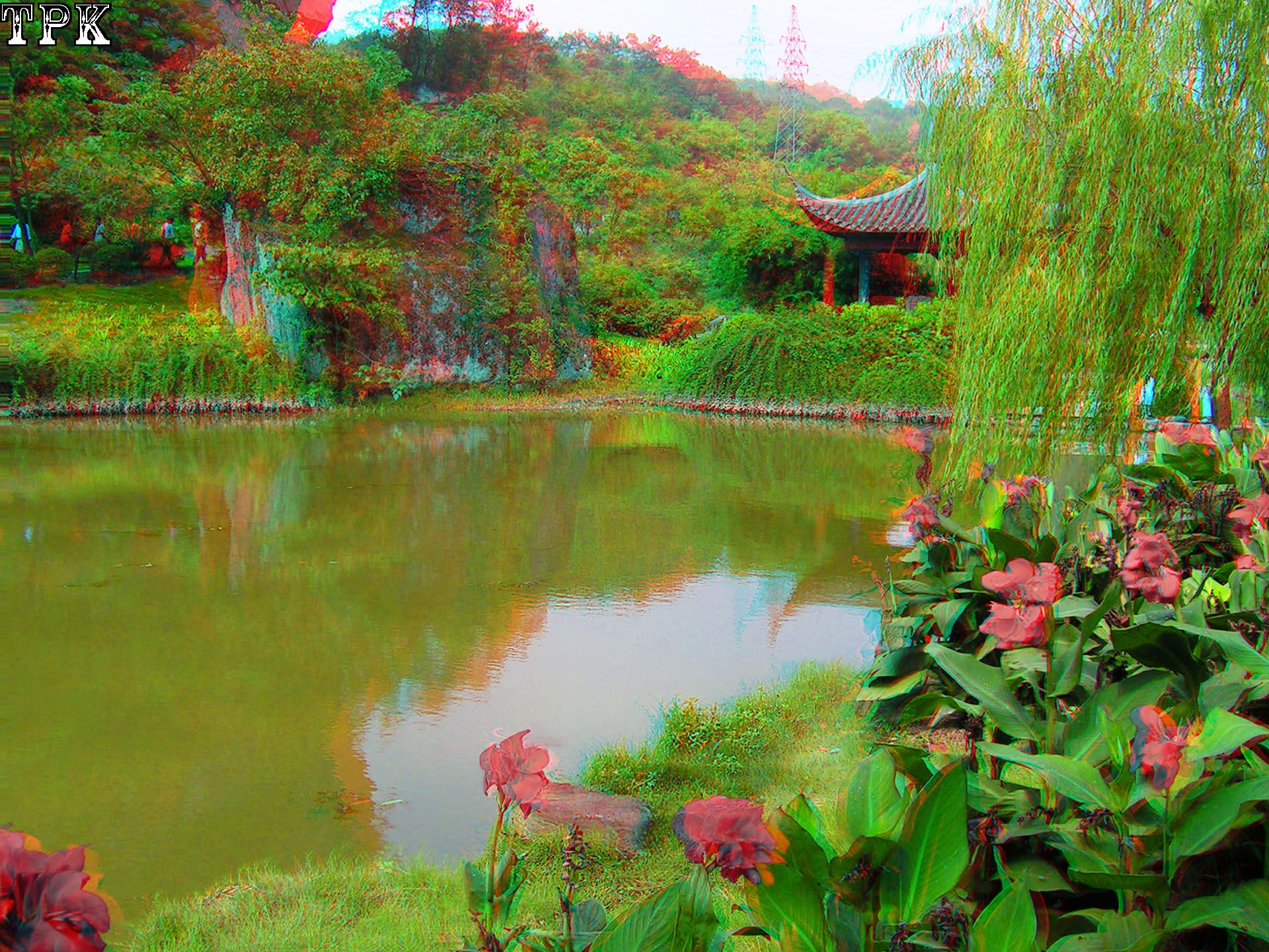 X 040918 DMG 027 xc XRC.jpg