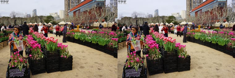 260129 02(19) 32 +LRsY.jpg