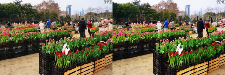 260129 05(18) 32 +LRsY.jpg