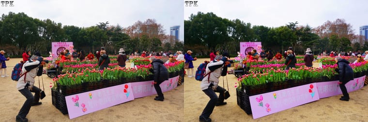 260129 06(26) 32 +LRsY.jpg