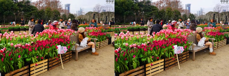 260129 07(17) 32 +LRsY.jpg