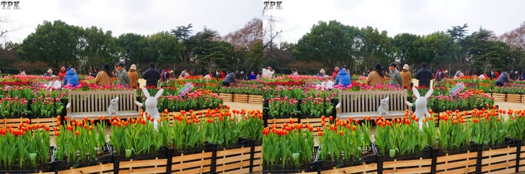 260129 09(18) 32 +LRsY.jpg