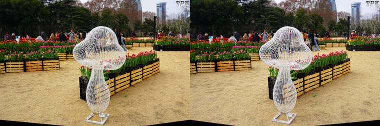 260129 10(25) 32 +LRsY.jpg