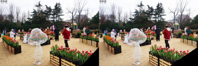 260129 11(20) 32 +LRsY.jpg