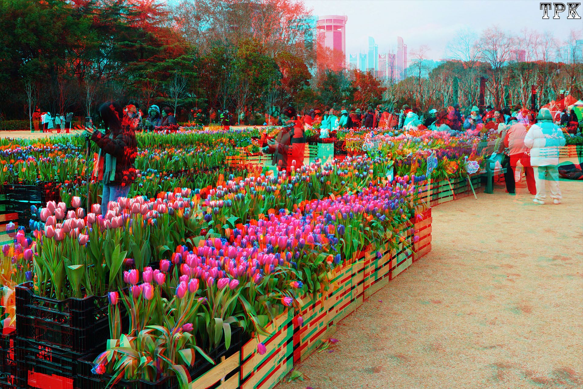 X 260129 04(17) 32 XRC.jpg