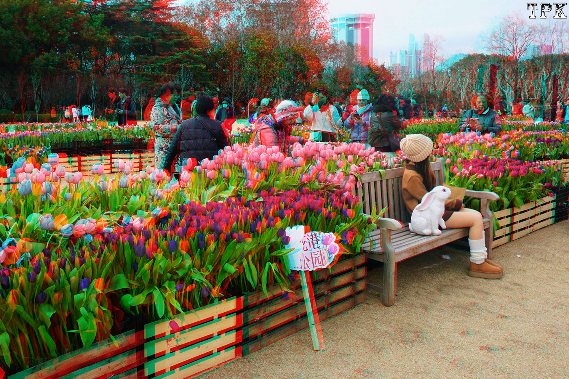 X 260129 07(17) 32 XRC.jpg