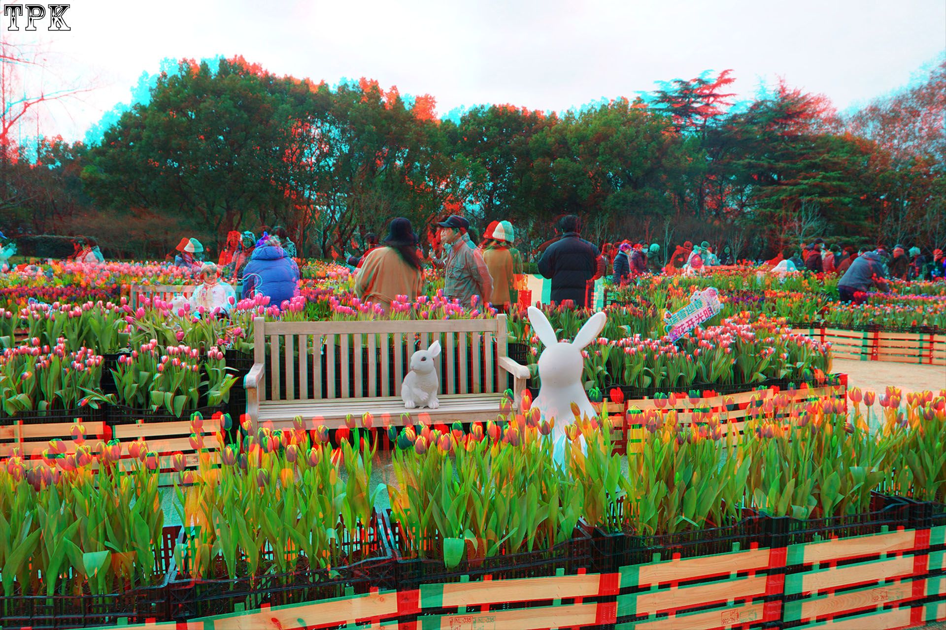 X 260129 09(18) 32 XRC.jpg