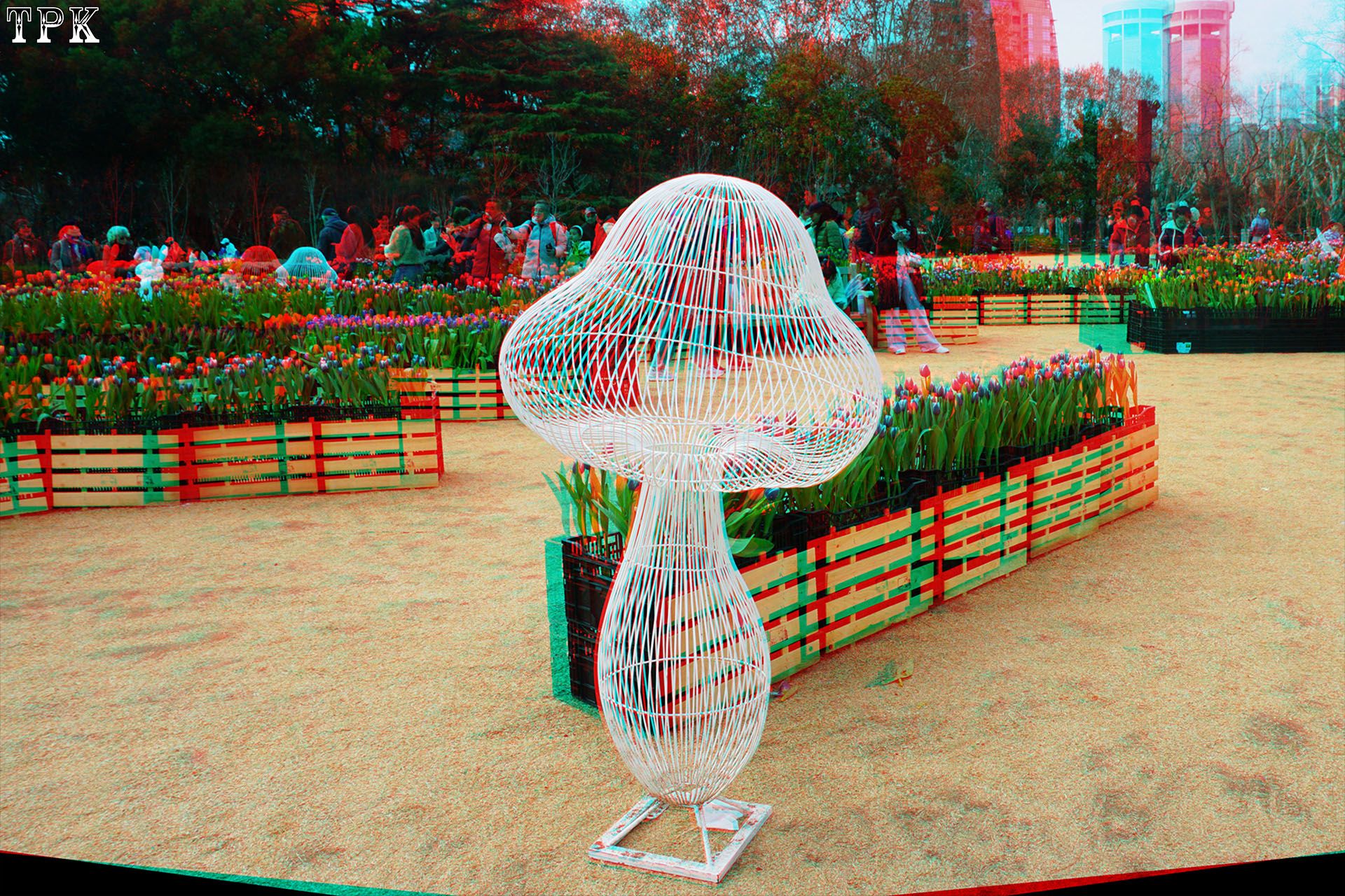 X 260129 10(25) 32 XRC.jpg