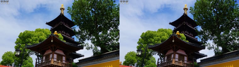 240509 N339(44) A +LRsY.jpg