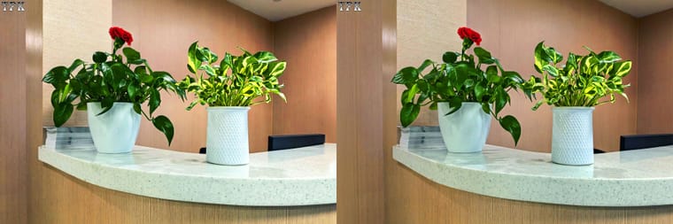 260214Mate  3132(24) 32 +LRsY.jpg