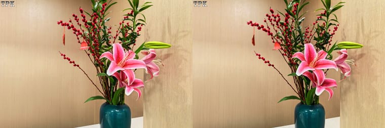 260214Mate  3436(34) 32 +LRsY.jpg