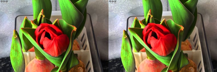 260216Mate 034035(21) 32 +LRsY.jpg