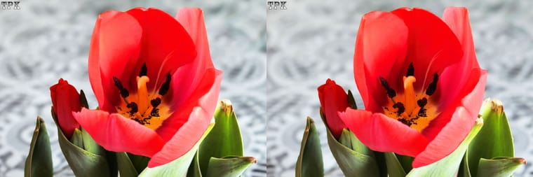 260216Mate 150151(21) 32 +LRsY.jpg