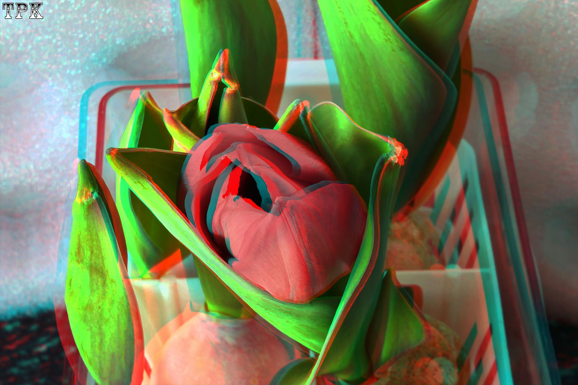 X 260216Mate 034035(21) 32 XRC.jpg