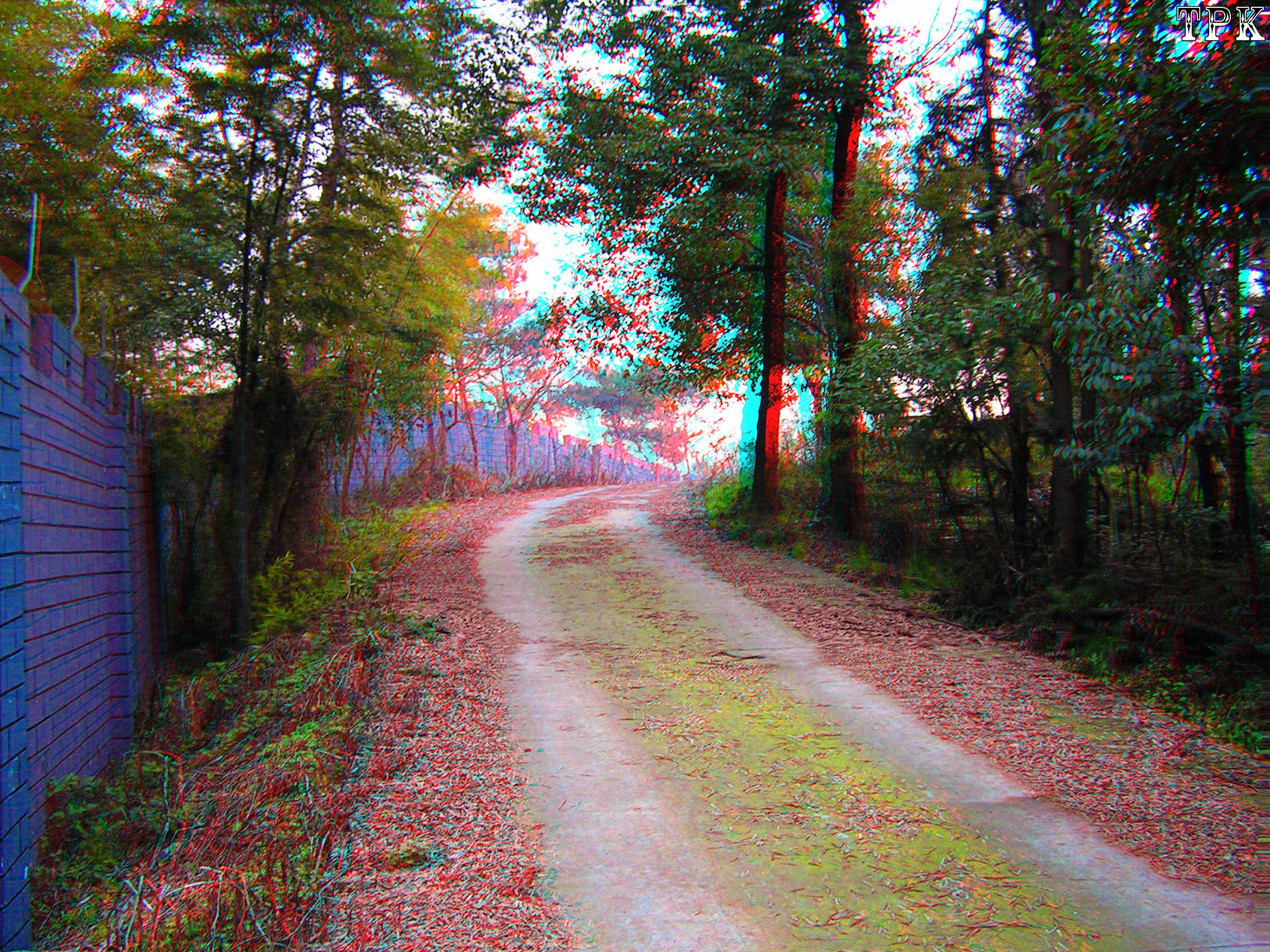 X 060304萧山 009 XRC.jpg