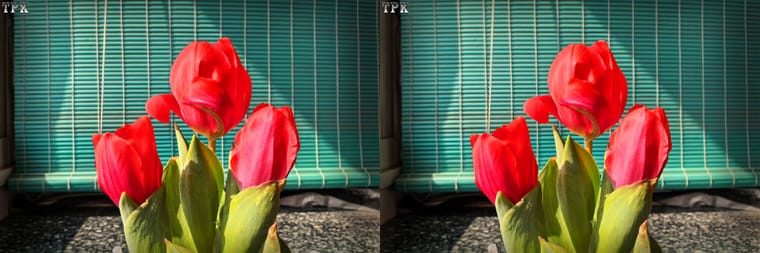 260312 零星 028029(22) 32 +LRsY.jpg