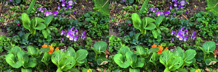 260312 零星 091092(18) 32 +LRsY.jpg