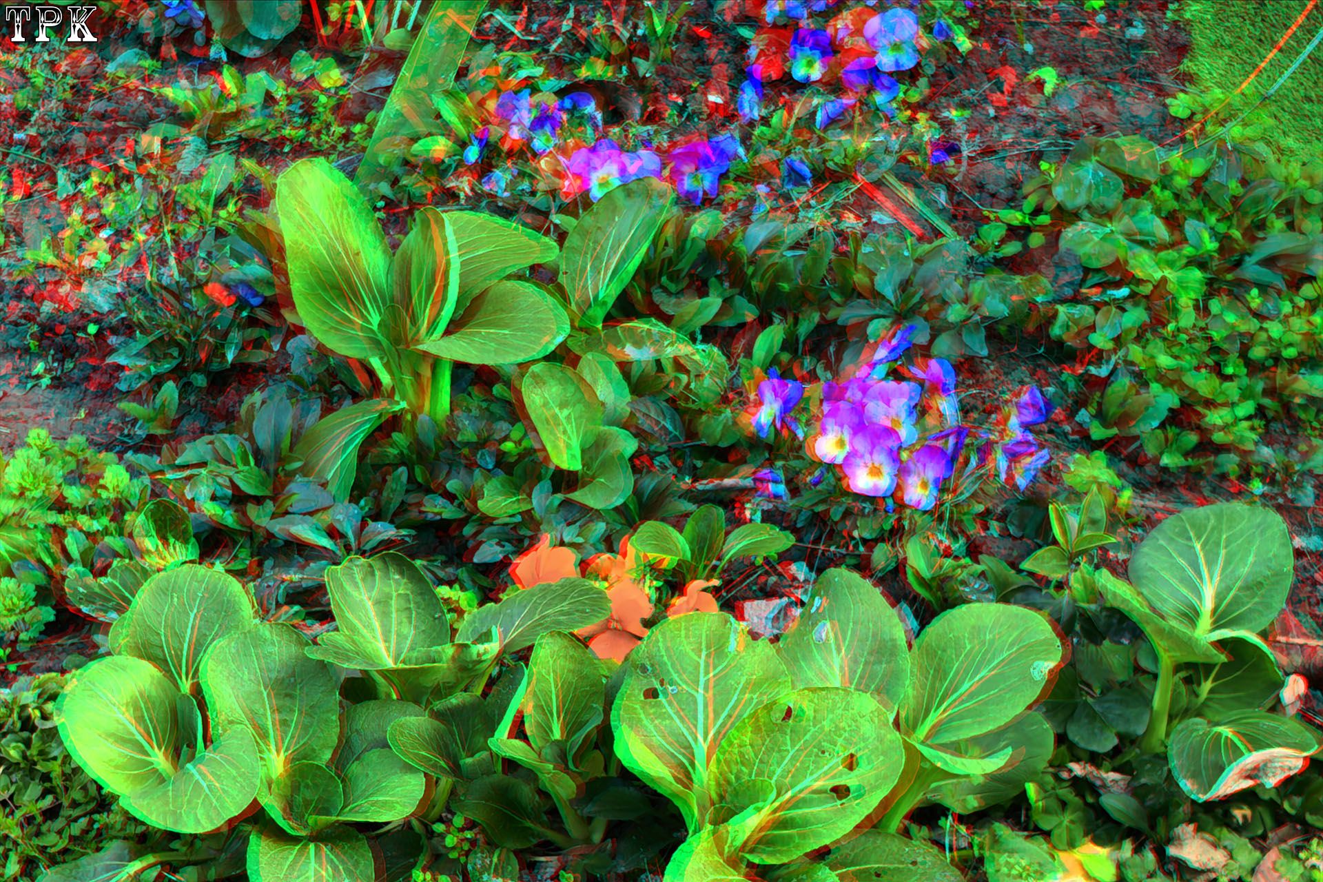 X 260312 零星 091092(18) 32 XRC.jpg