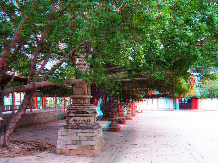 X 080119-046 K XRC.jpg