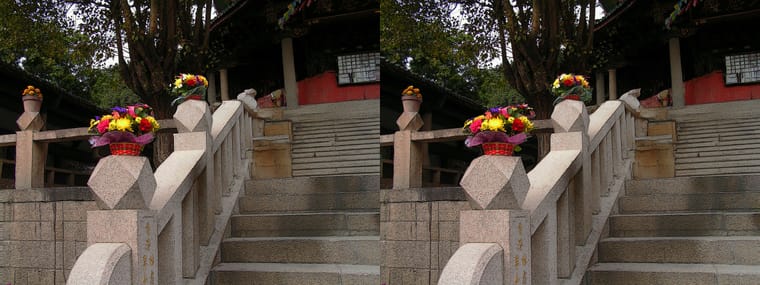 080119-125 xc SBS.jpg