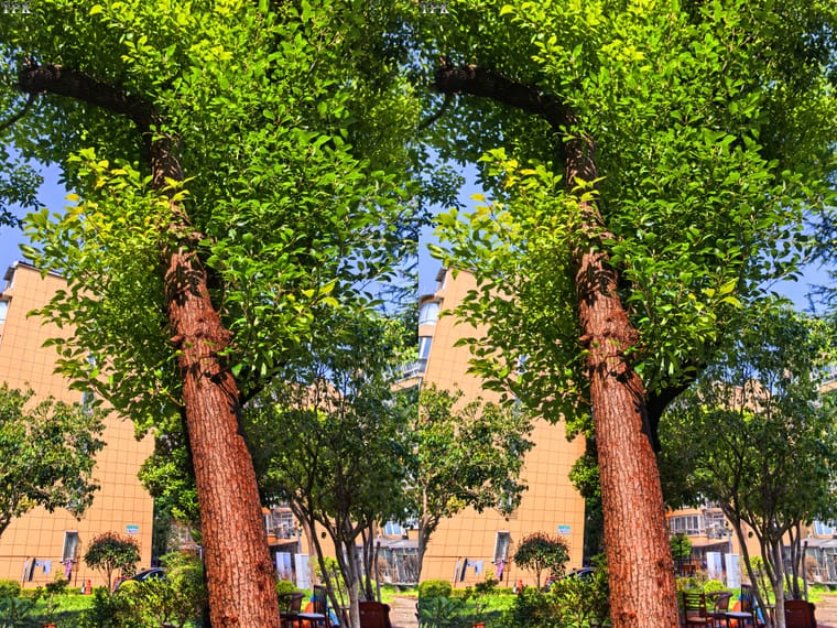 260320 Mate 5657(17) 23 +LRsY.jpg