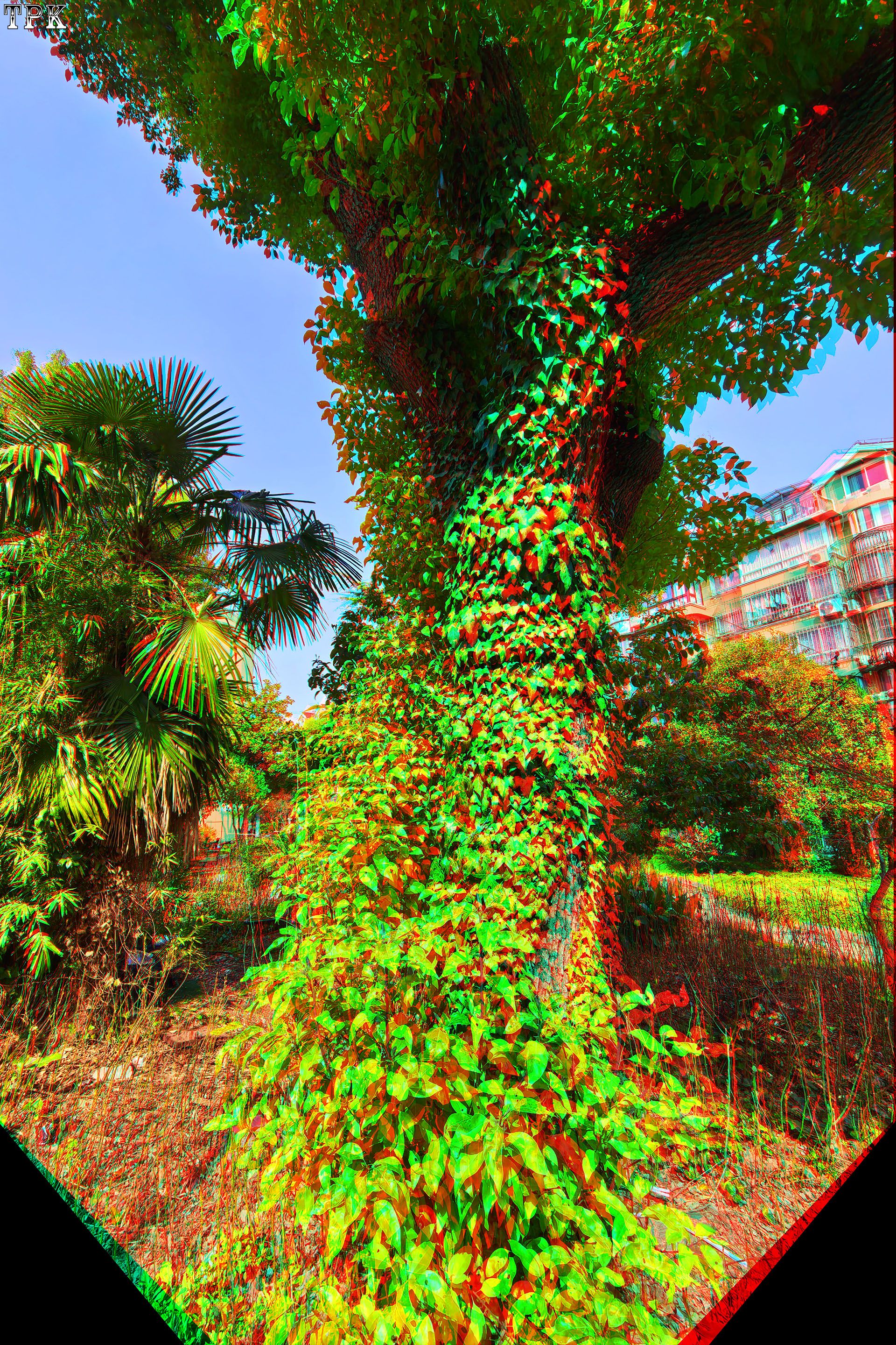 X 260320 Mate 1213(22) 23 XRC.jpg